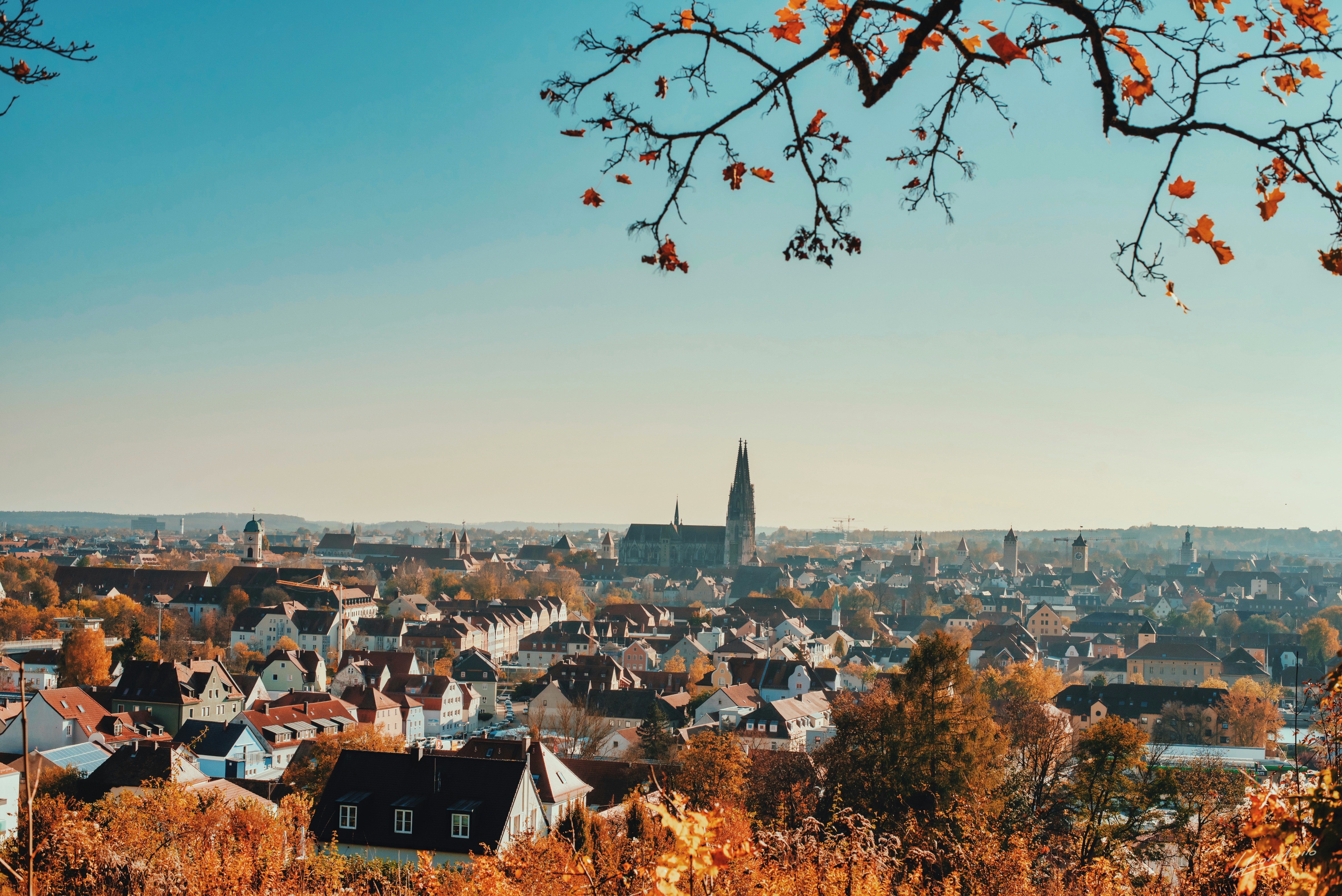 Regensburg autumn panorama